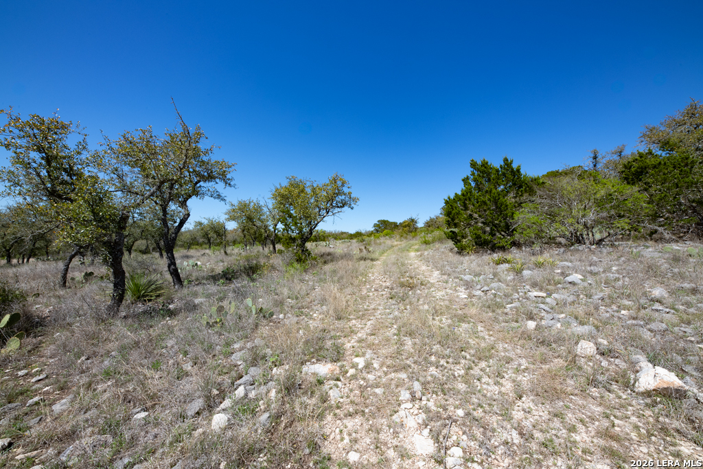 TBD County Road 241