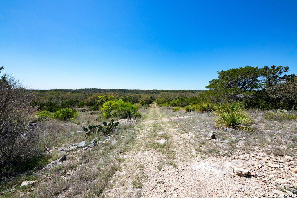 TBD County Road 241