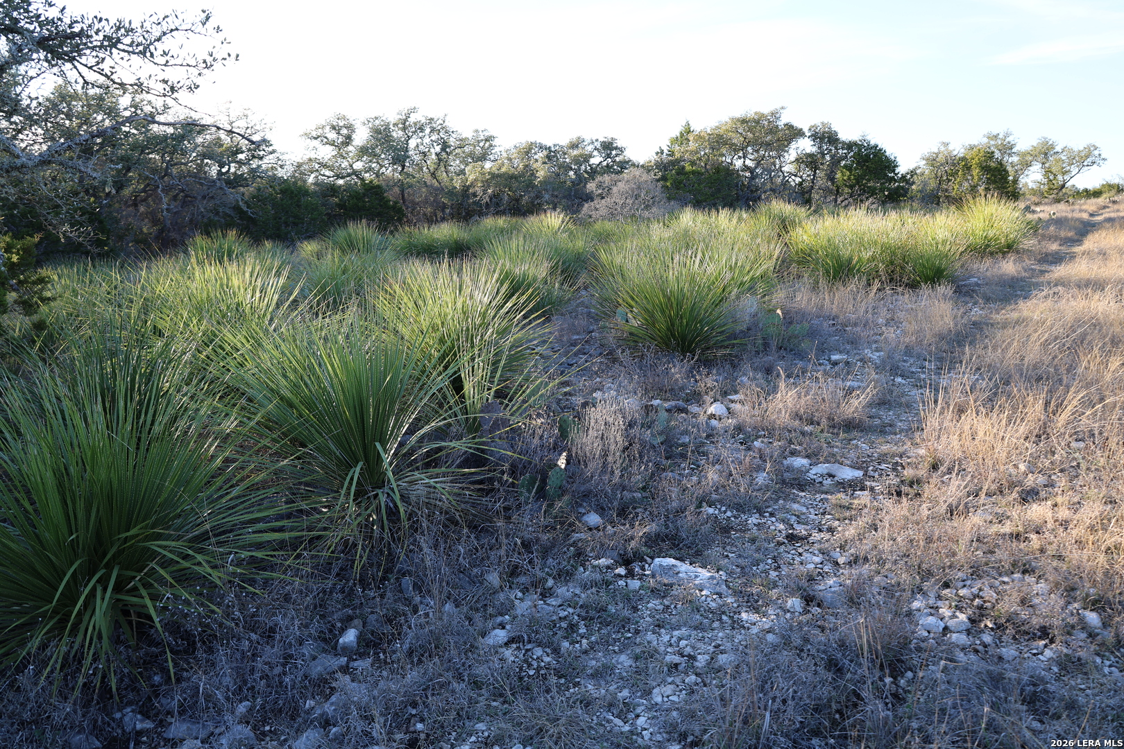 TBD County Road 241
