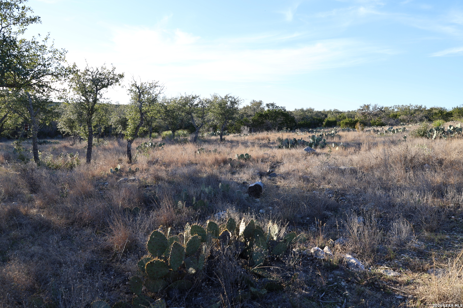 TBD County Road 241