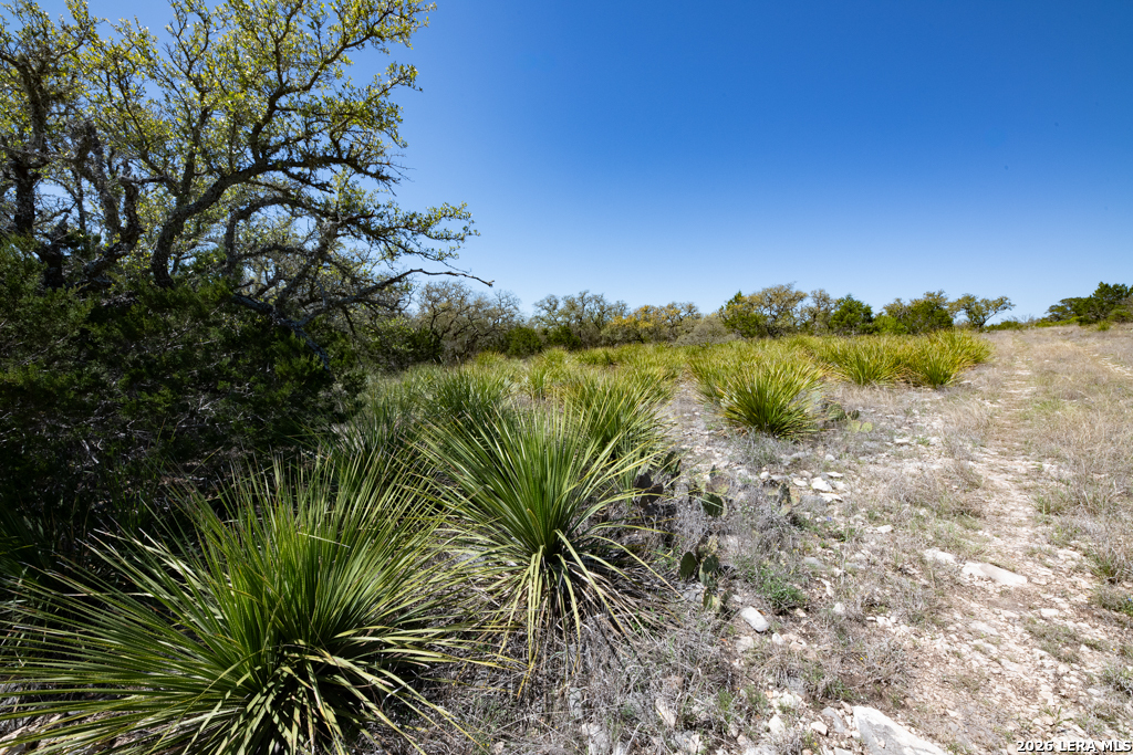 TBD County Road 241