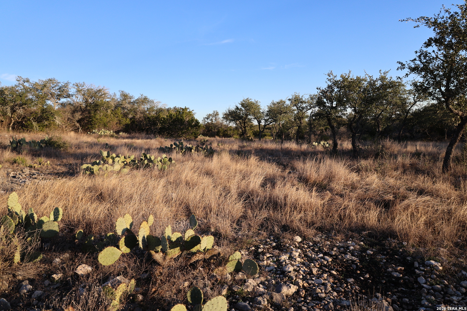 TBD County Road 241