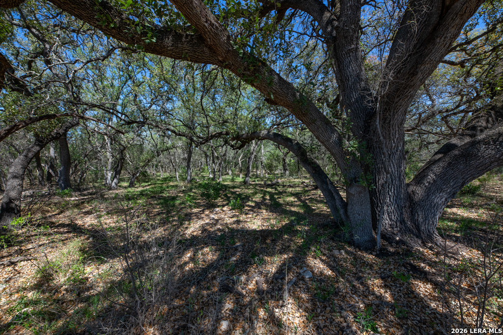 TBD County Road 241