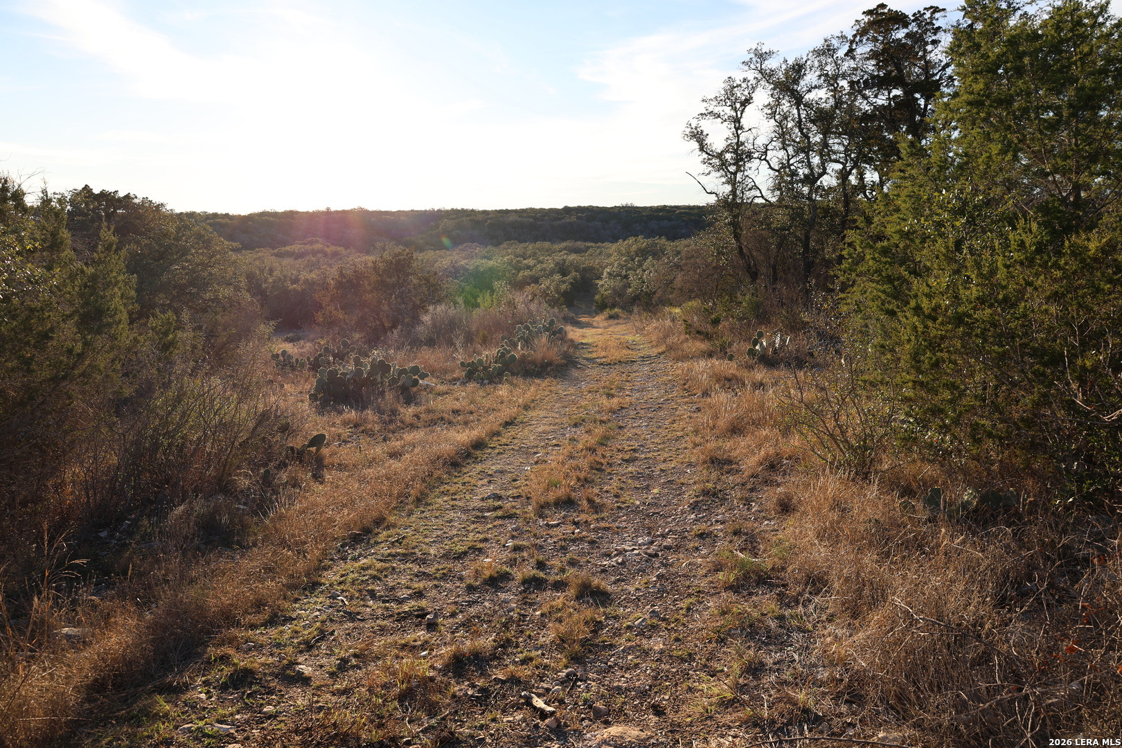 TBD County Road 241
