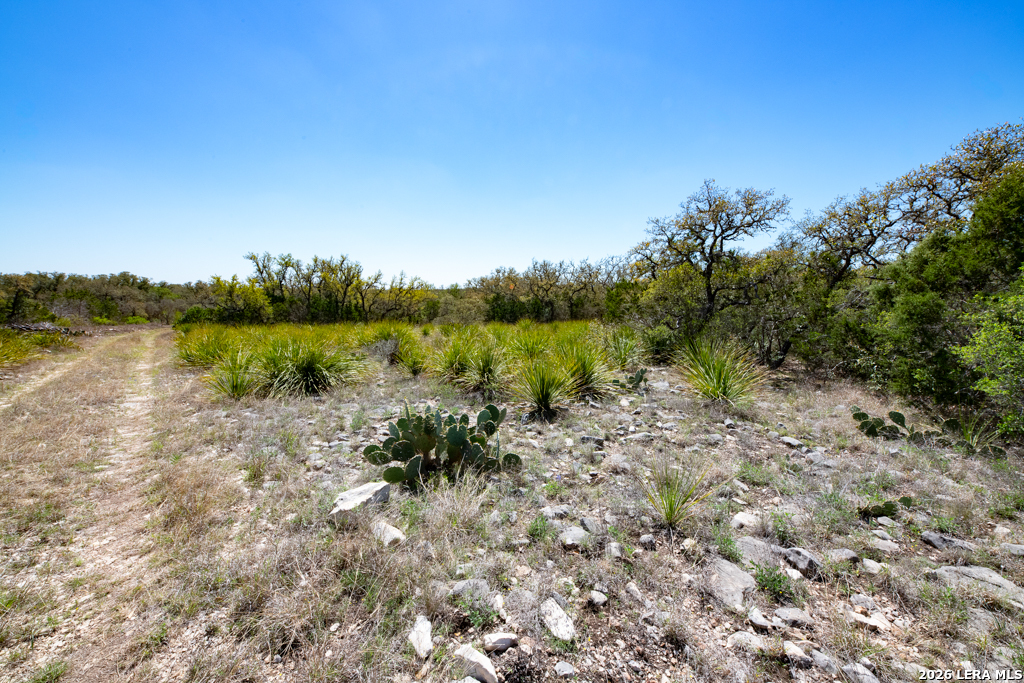 TBD County Road 241