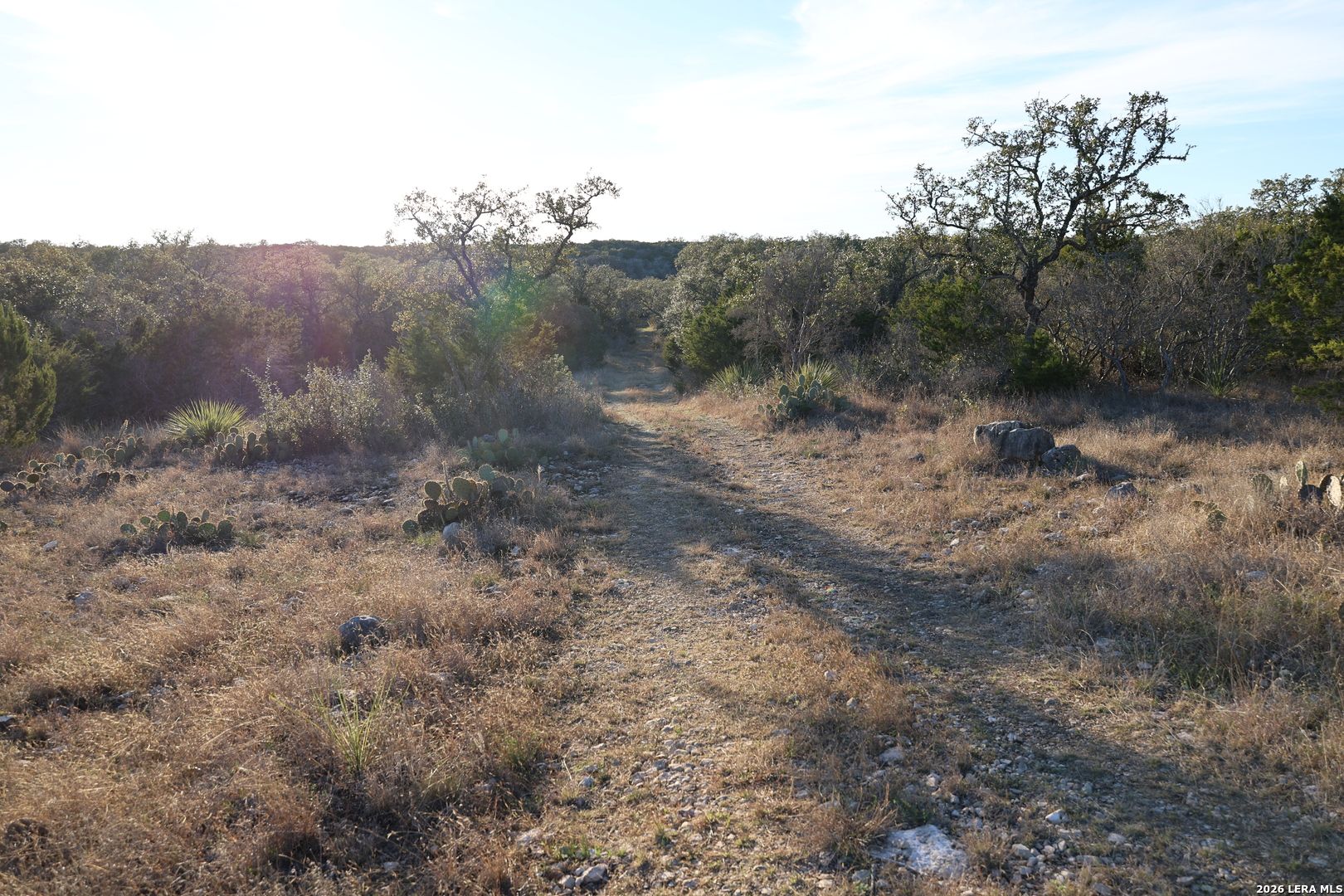 TBD County Road 241