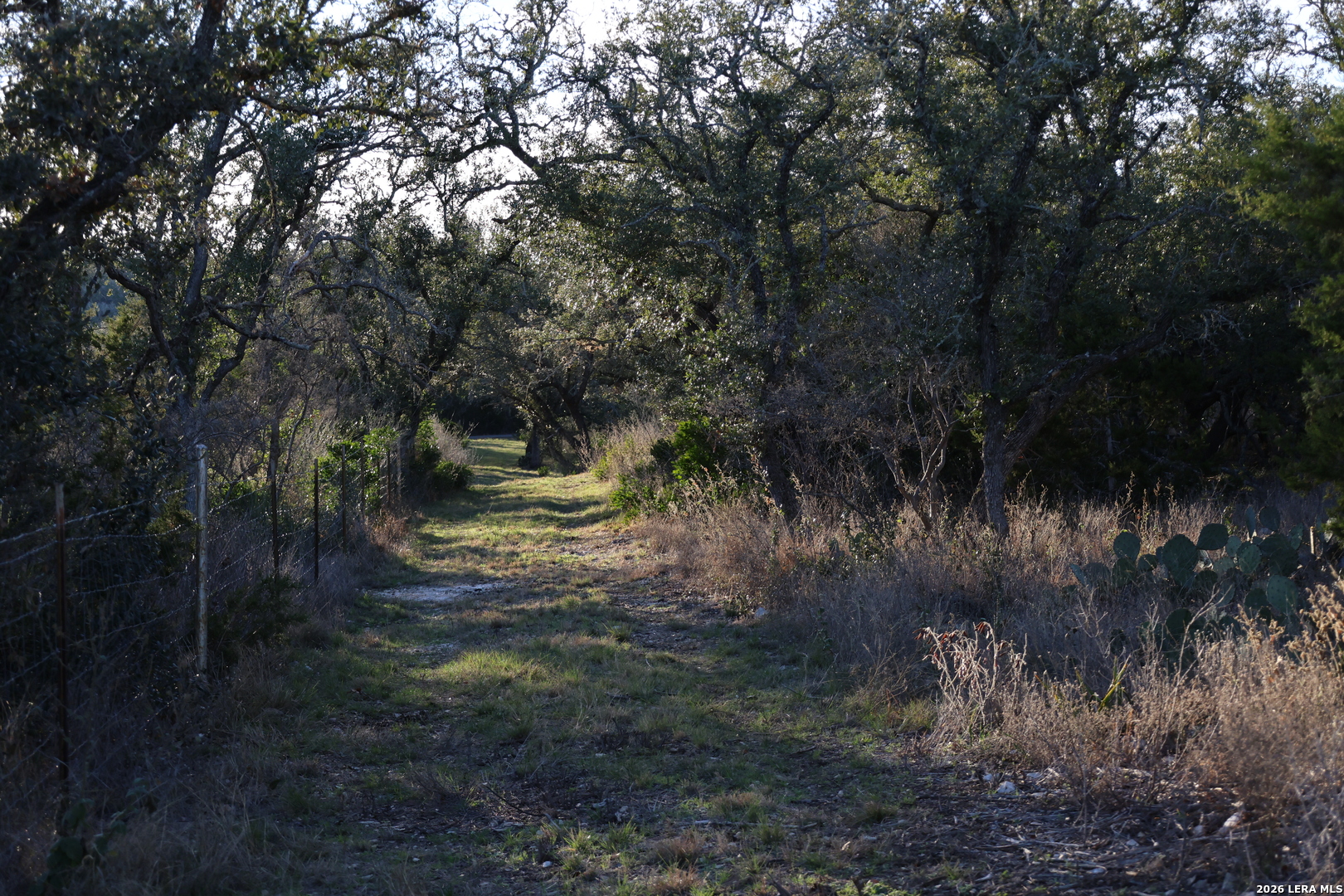 TBD County Road 241
