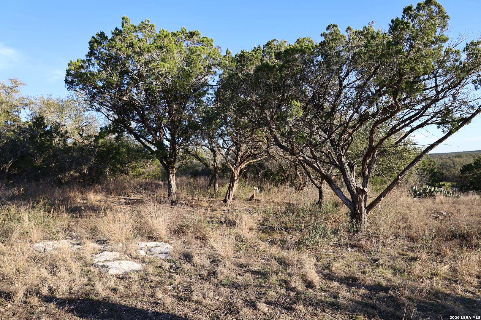 TBD County Road 241