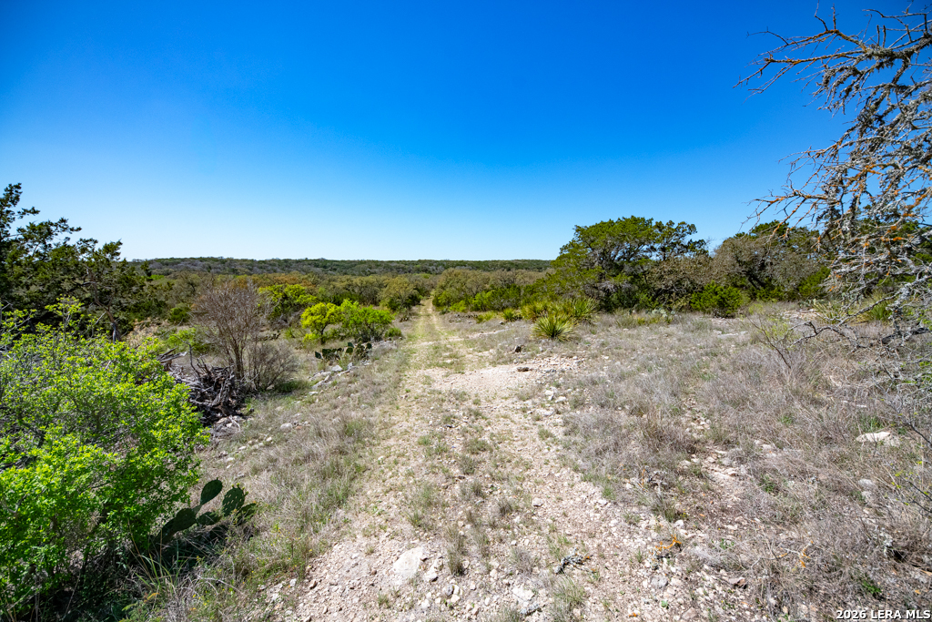 TBD County Road 241