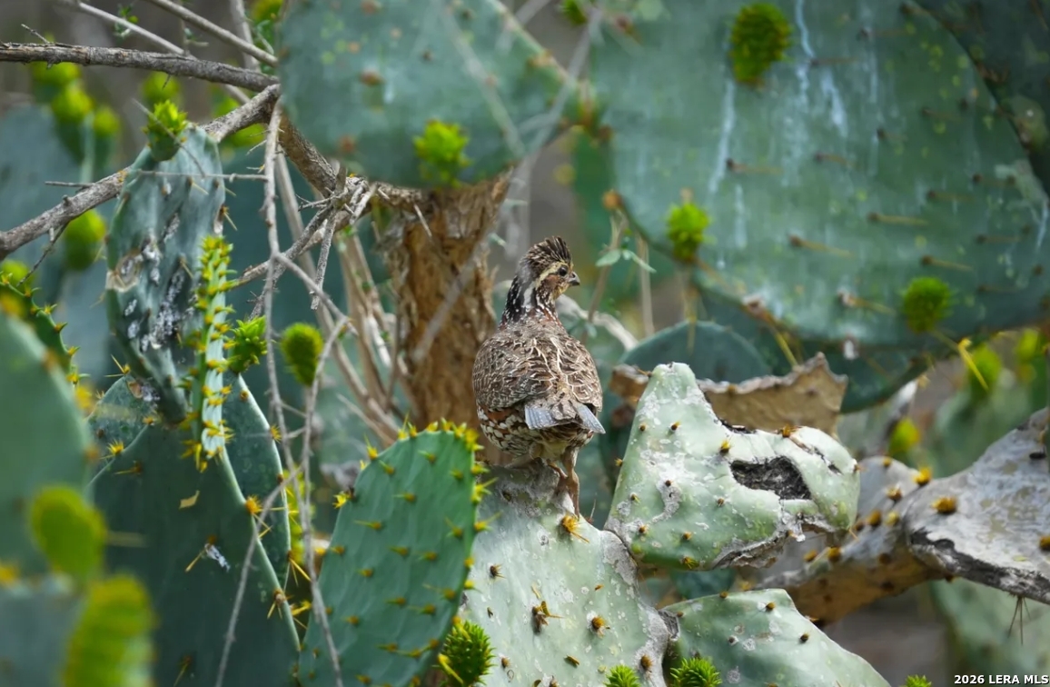 1444 County Road 120