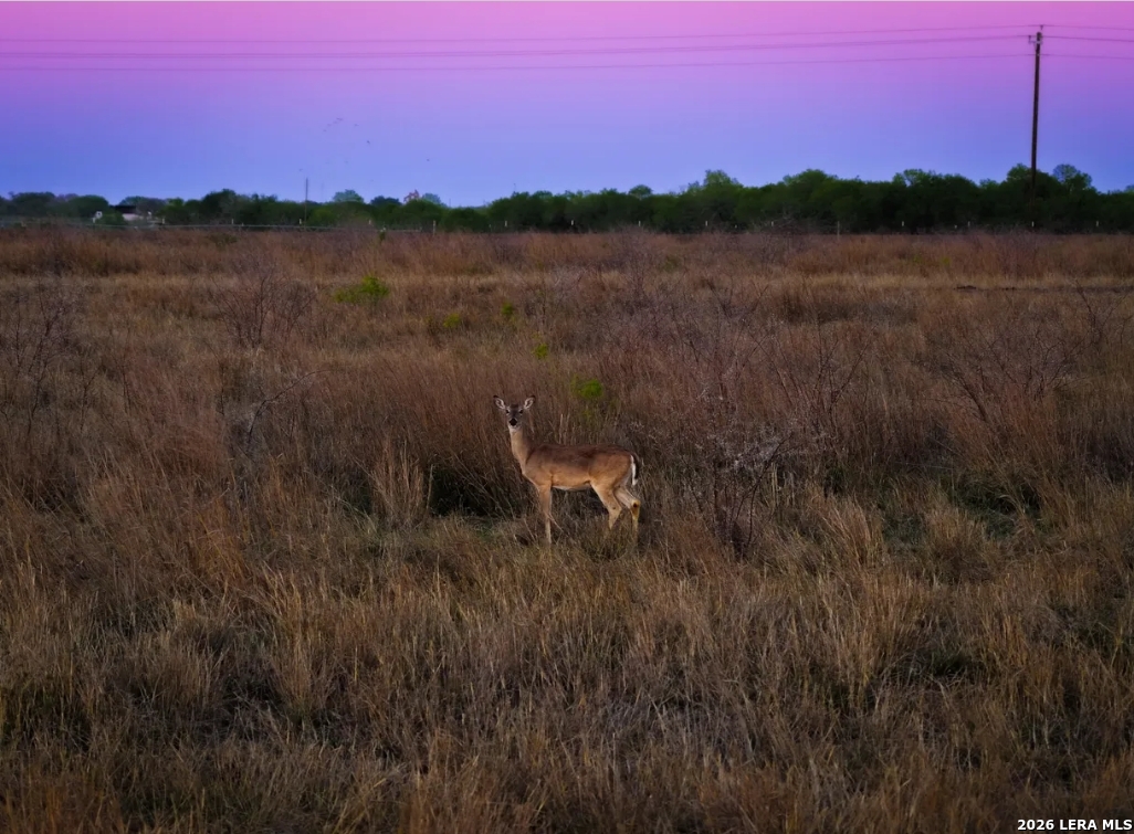 1444 County Road 120