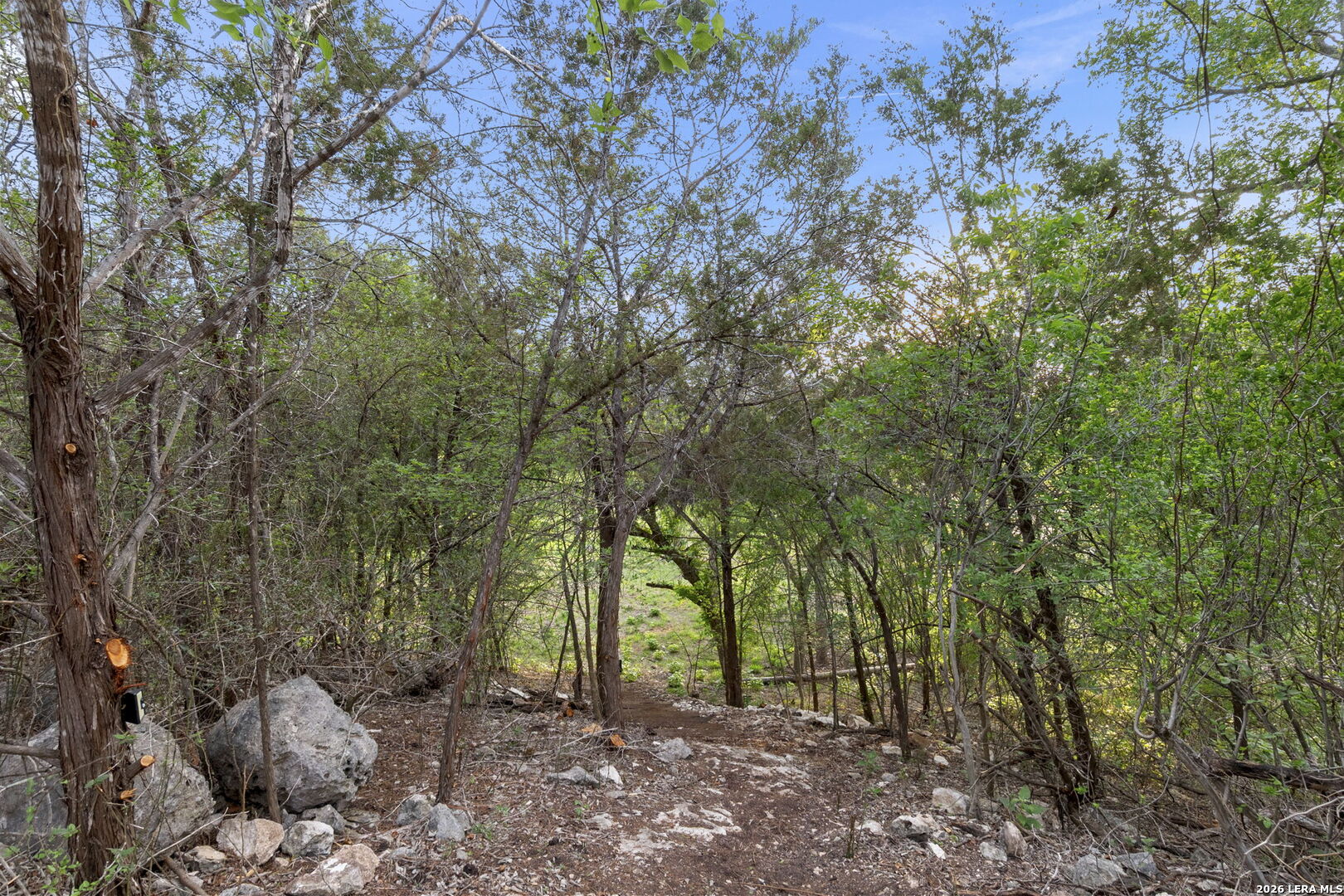 3701 Fischer Store Road