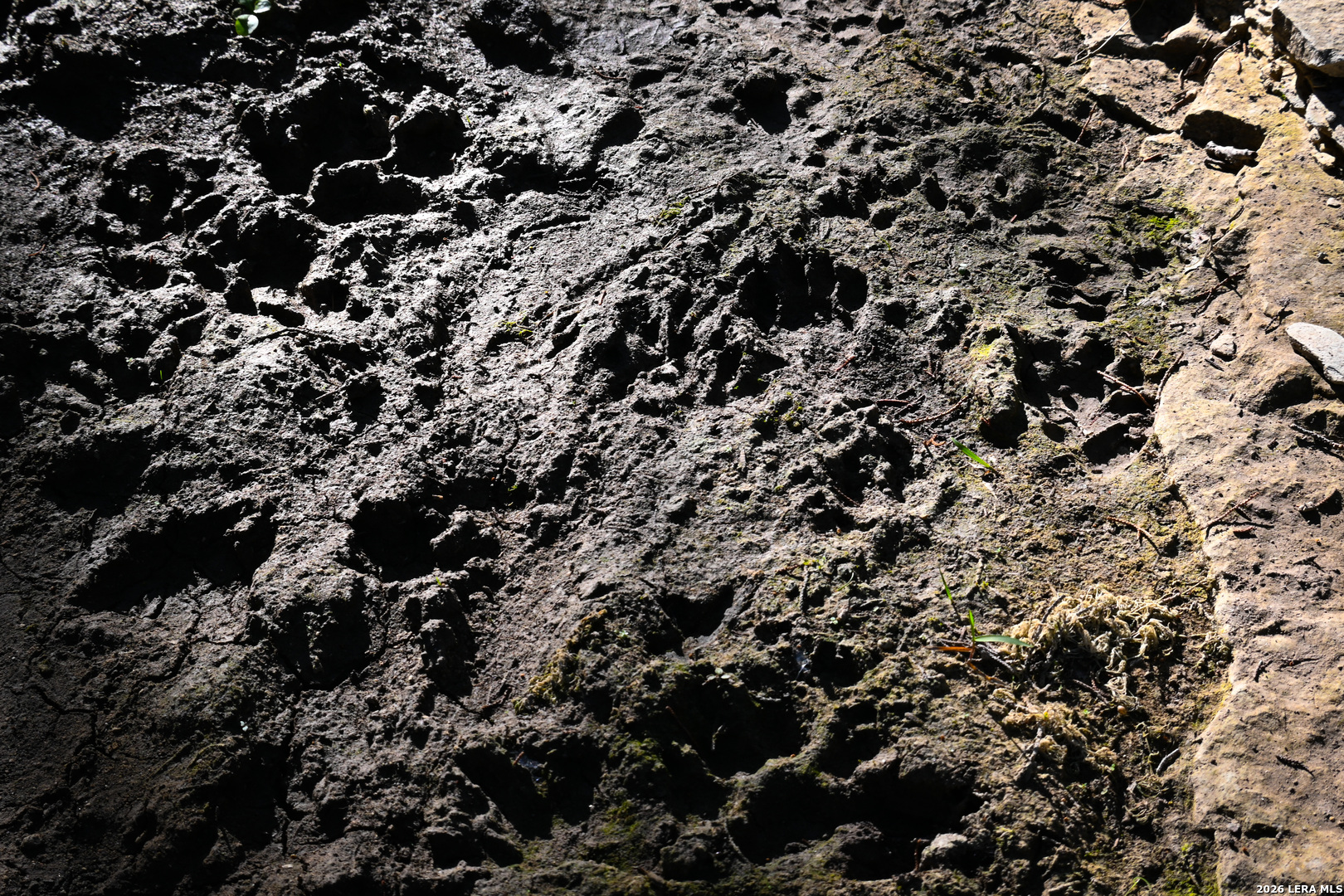 417 Sparkling Springs Dr