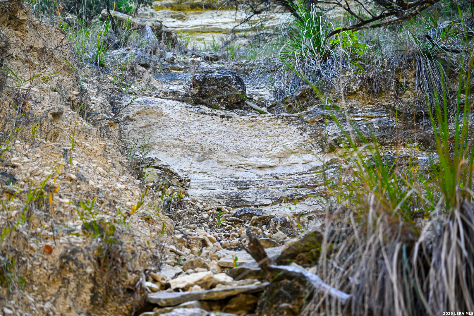 417 Sparkling Springs Dr