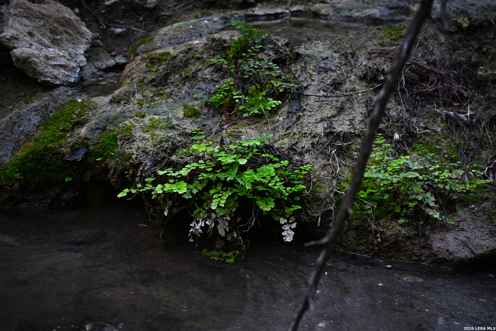 417 Sparkling Springs Dr