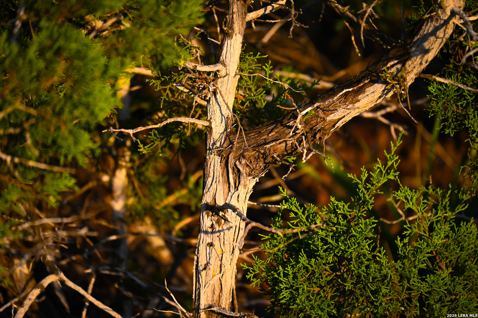 417 Sparkling Springs Dr