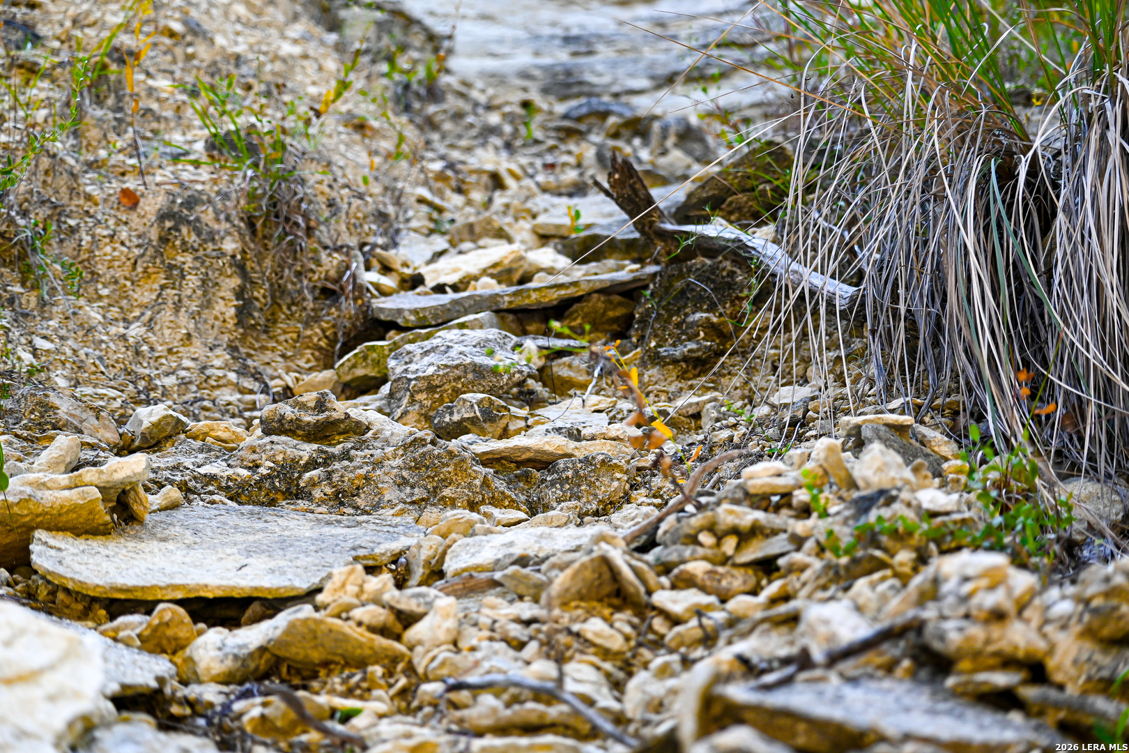 417 Sparkling Springs Dr