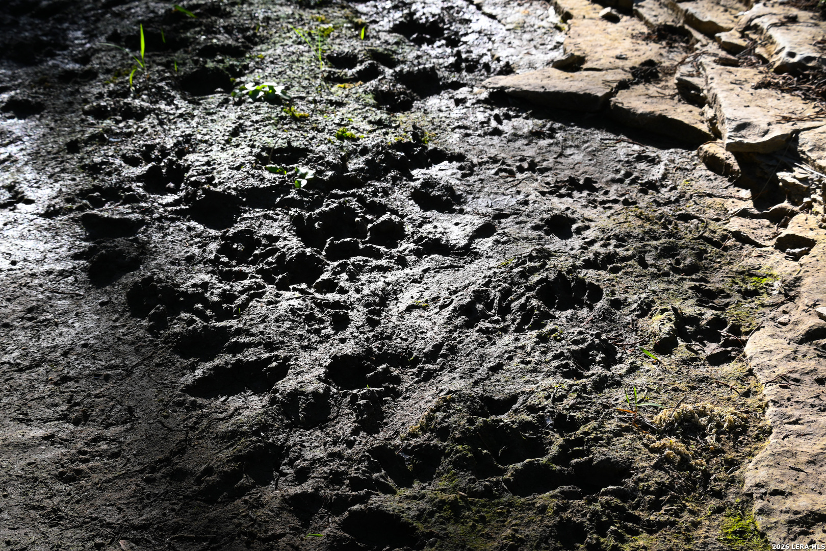 417 Sparkling Springs Dr