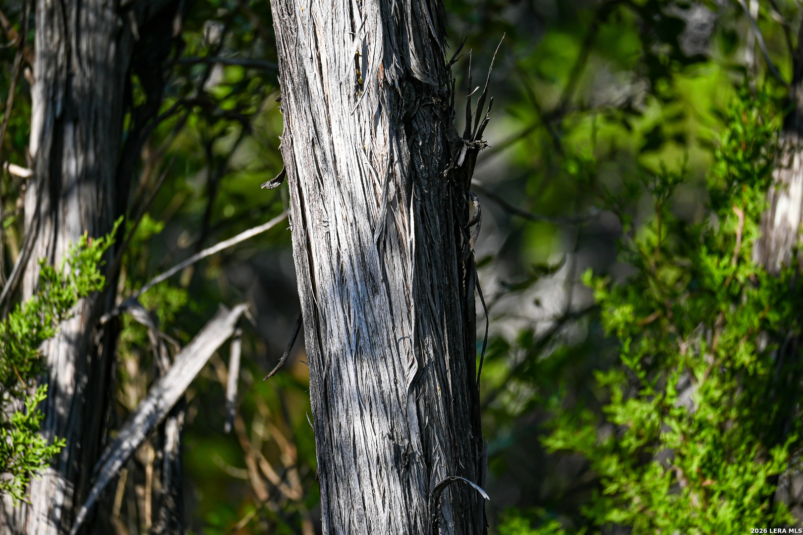 417 Sparkling Springs Dr