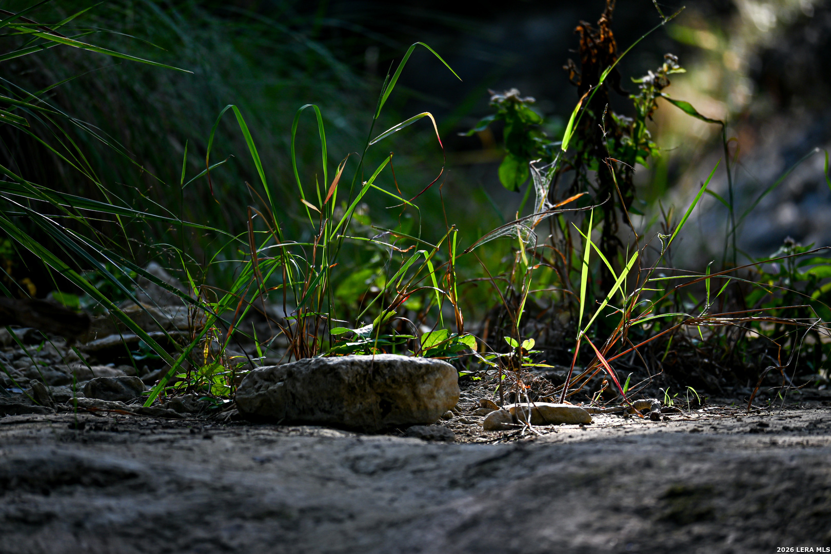 417 Sparkling Springs Dr