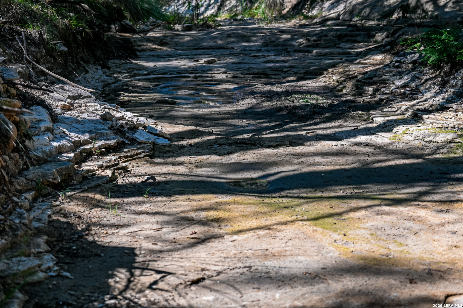 417 Sparkling Springs Dr