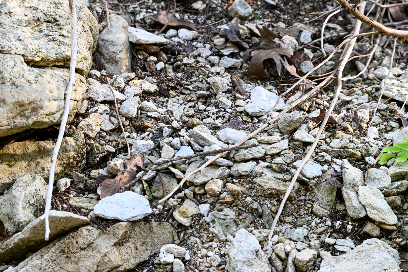 417 Sparkling Springs Dr