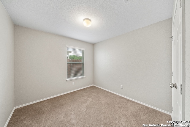 10134 CASTELLO CYN
