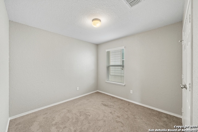 10134 CASTELLO CYN