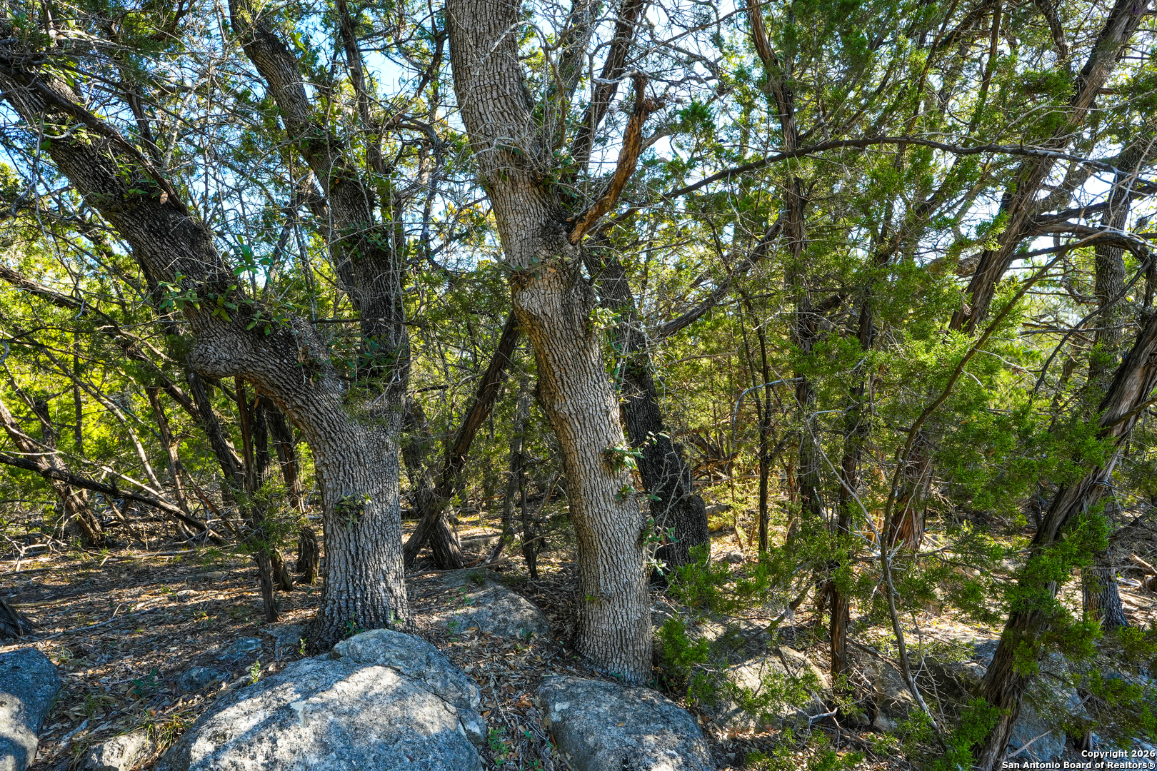 1515 OLD BOERNE RD