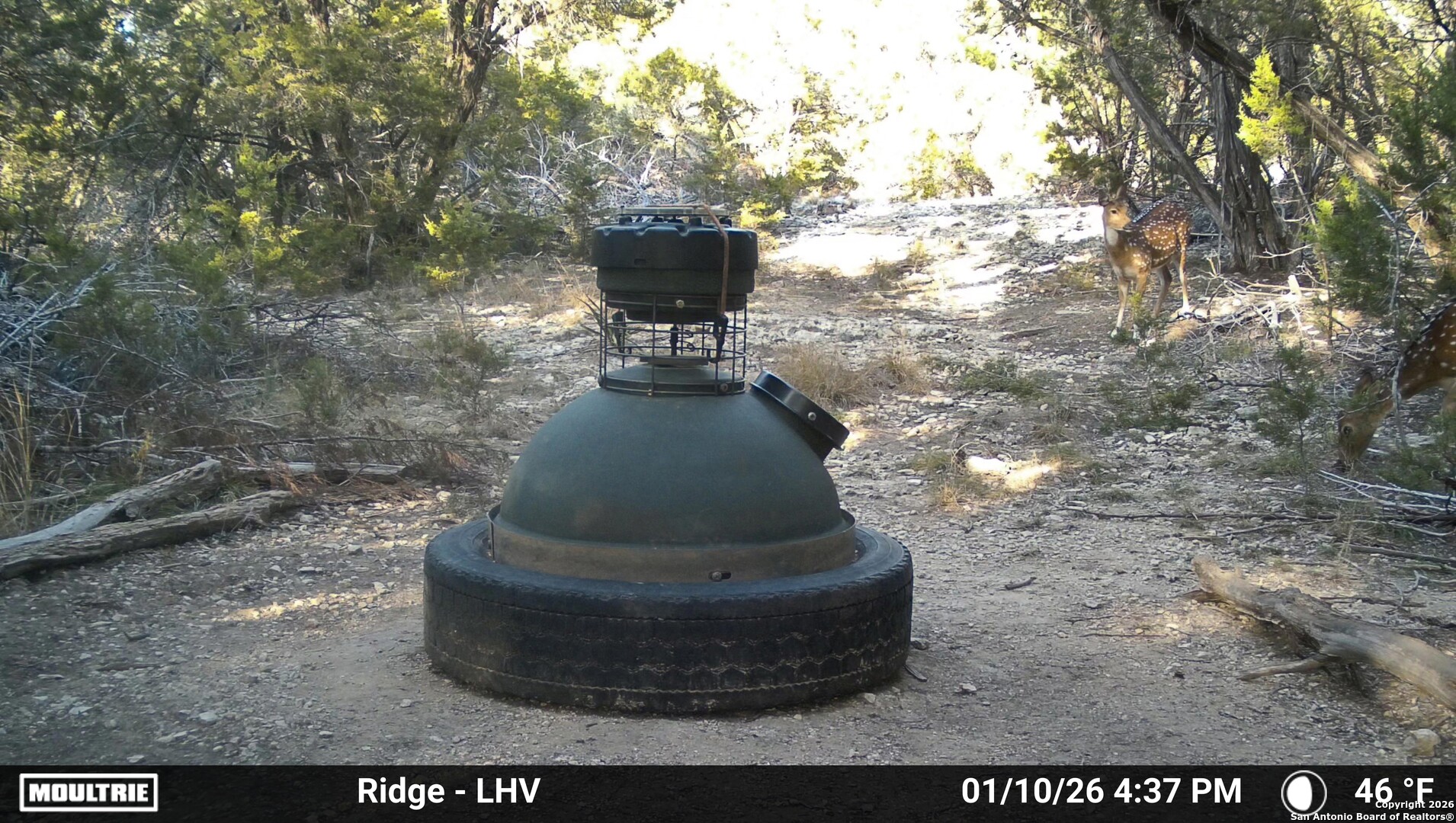 1515 OLD BOERNE RD
