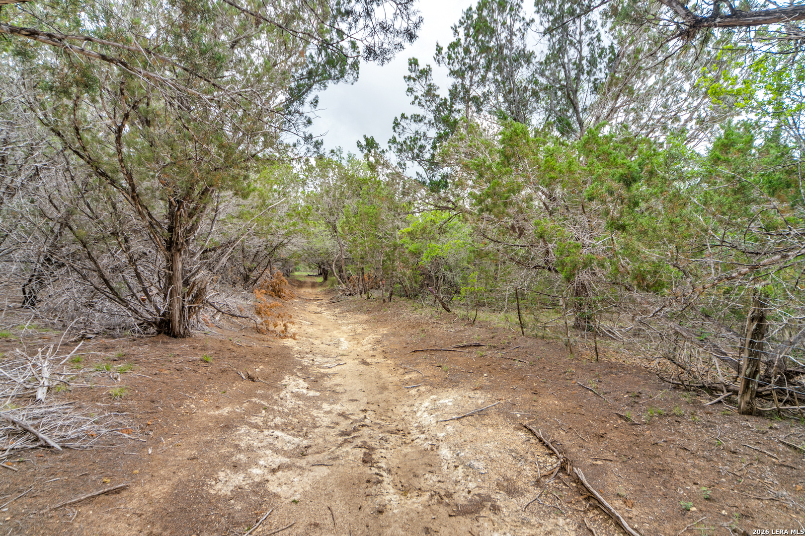 TRACT 2 Elm Pass