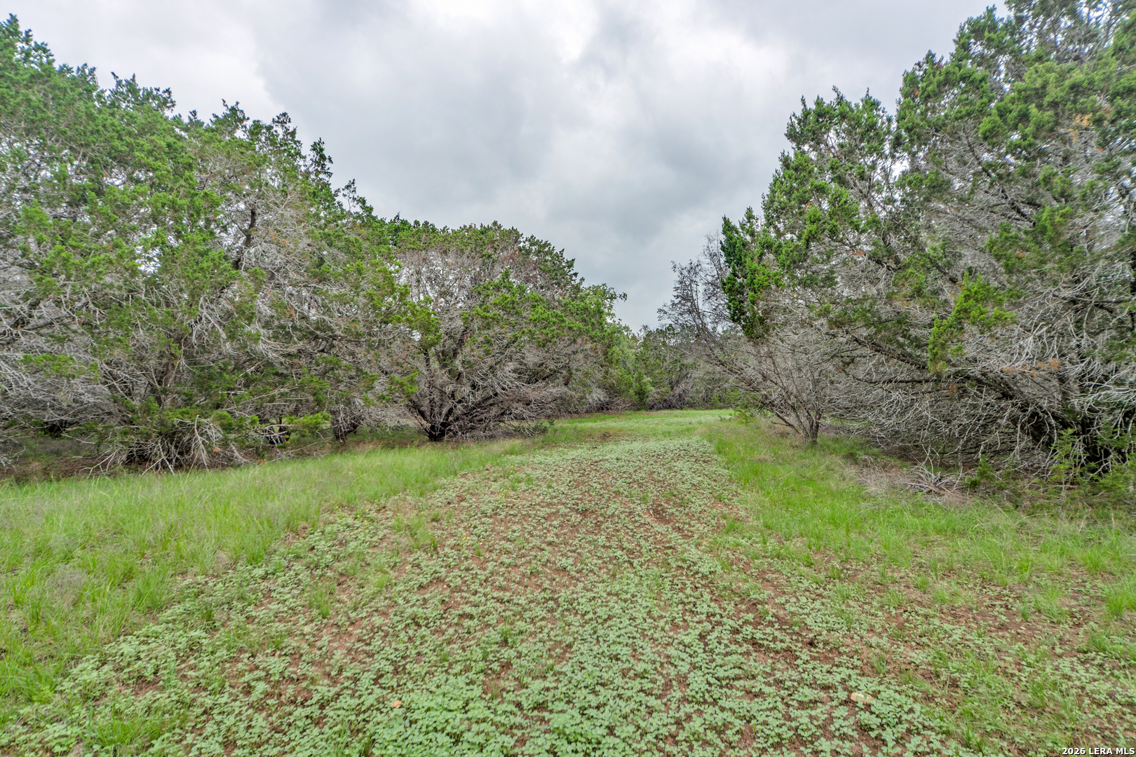 TRACT 3 Elm Pass