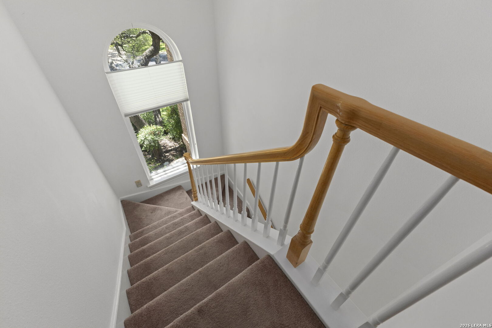 15606 Dawn Crest