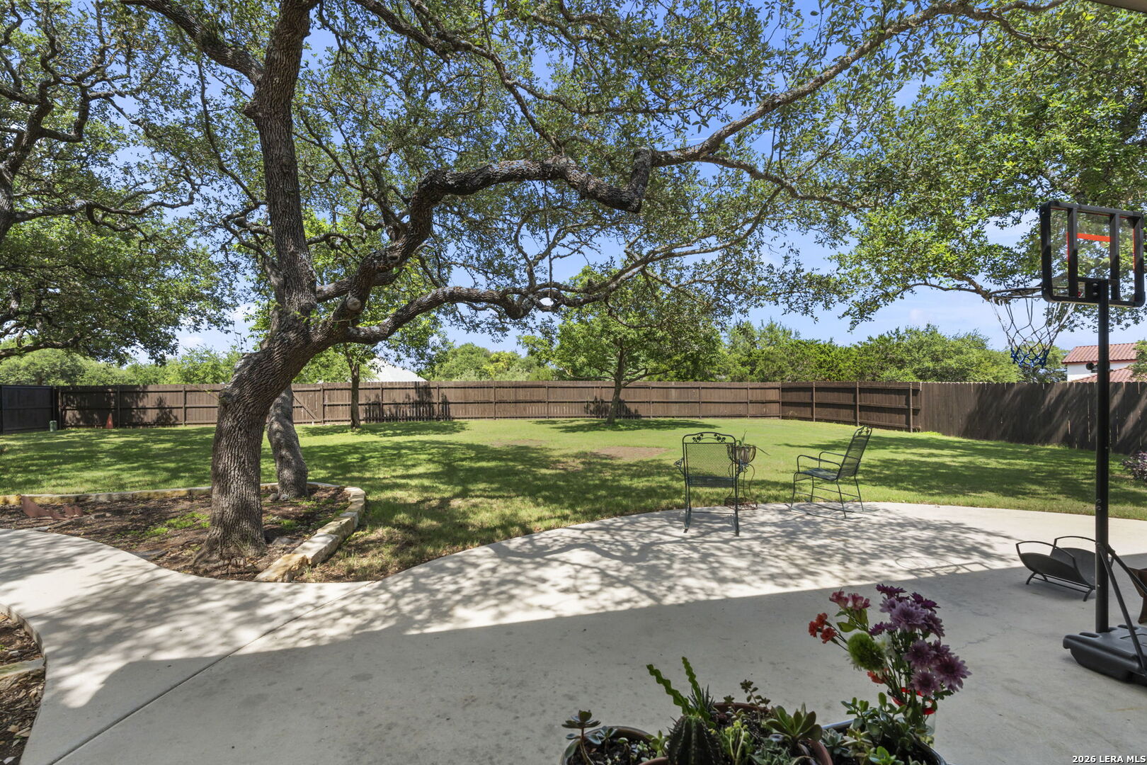26110 Sunny Meadow