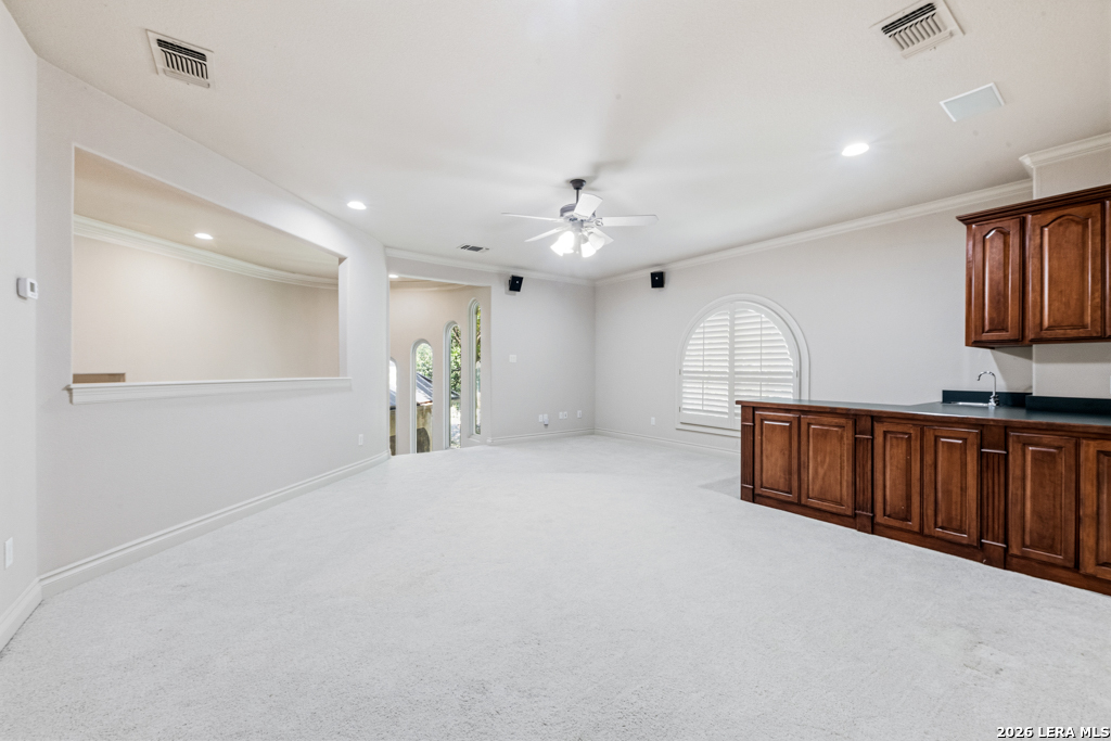 519 Blackjack Oak