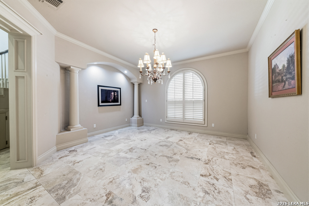 519 Blackjack Oak
