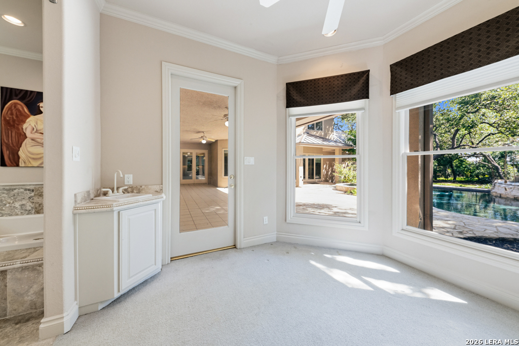 519 Blackjack Oak