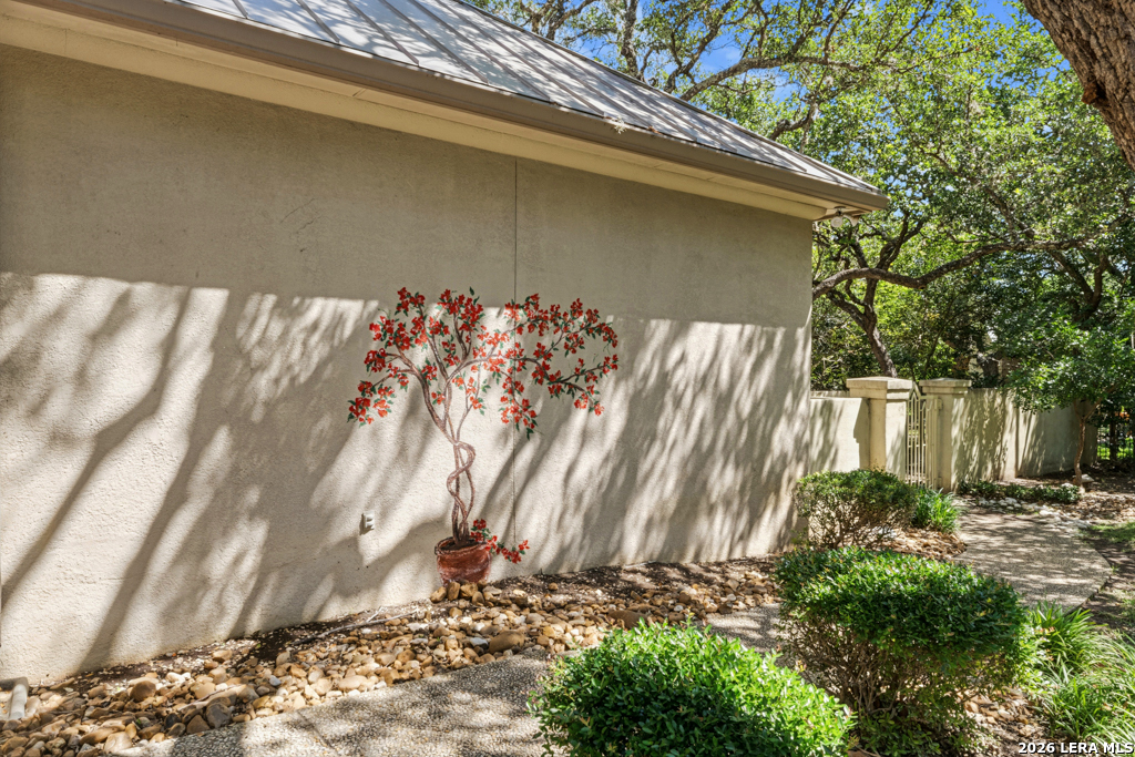 519 Blackjack Oak