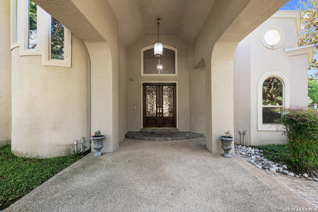 519 Blackjack Oak