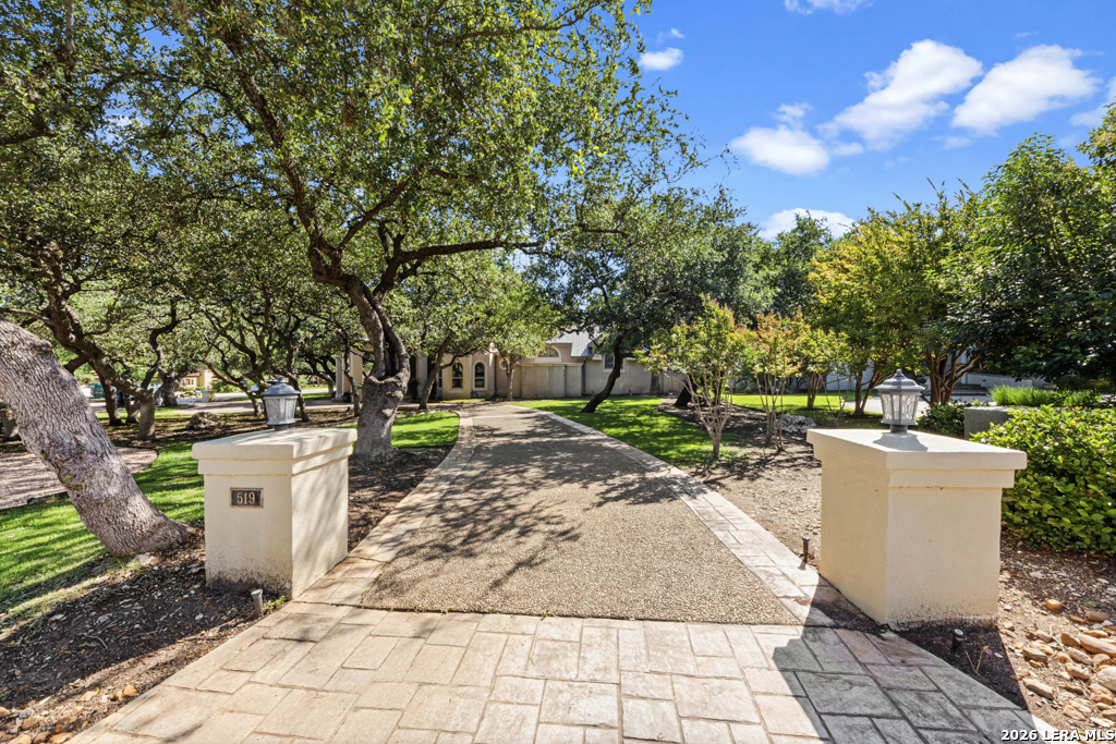519 Blackjack Oak
