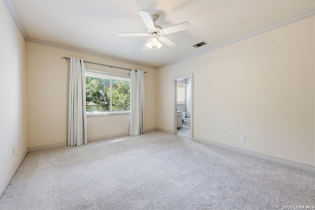 519 Blackjack Oak