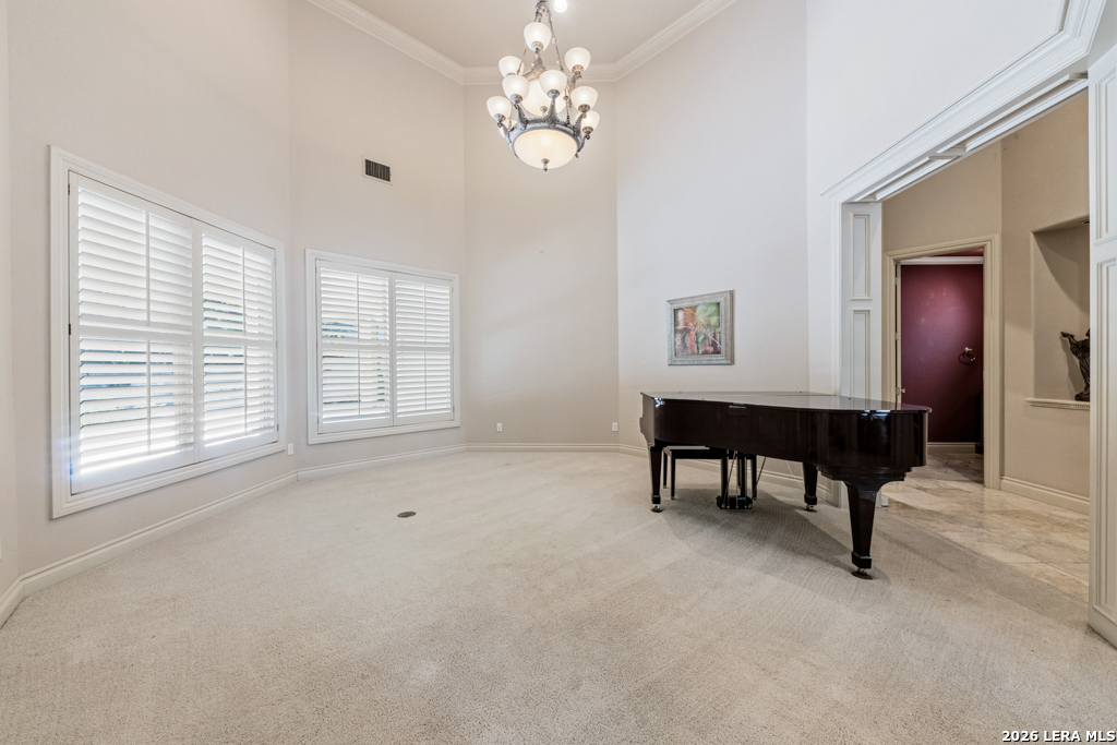 519 Blackjack Oak