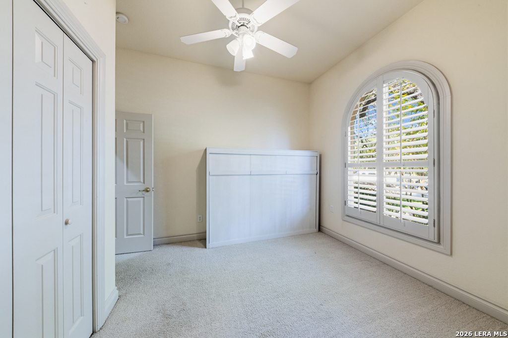 519 Blackjack Oak