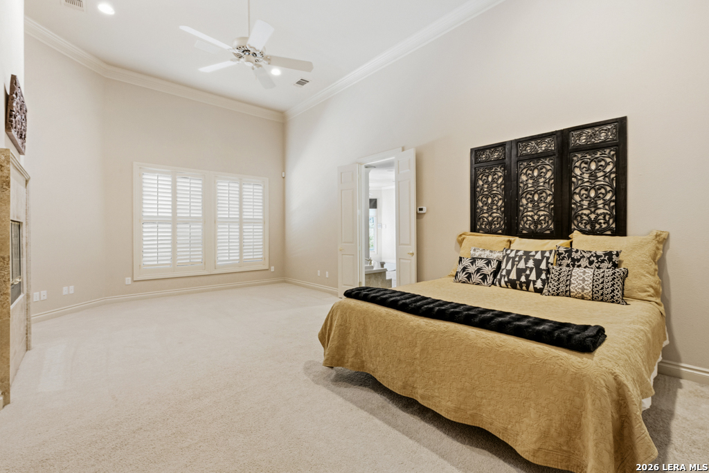 519 Blackjack Oak