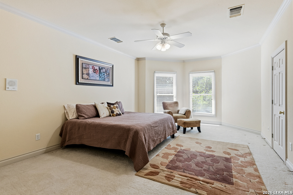 519 Blackjack Oak