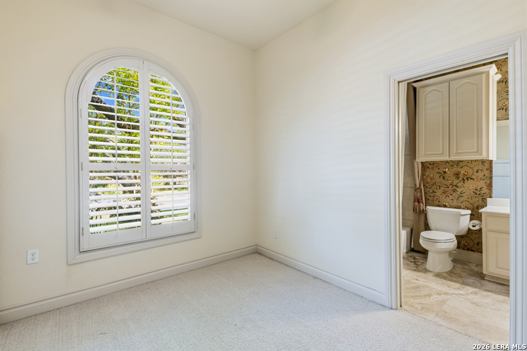 519 Blackjack Oak