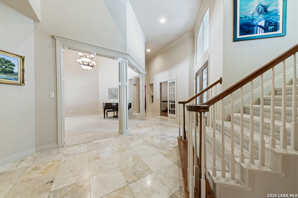 519 Blackjack Oak