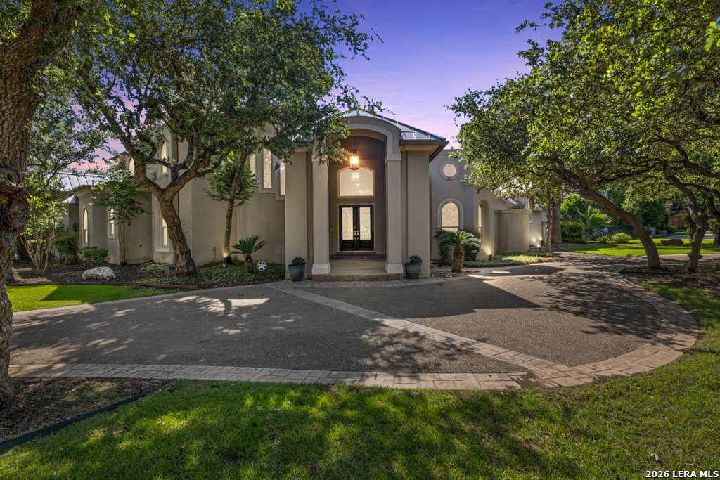 519 Blackjack Oak