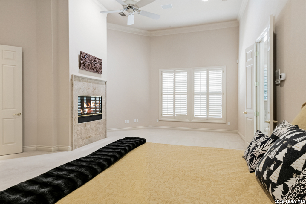 519 Blackjack Oak