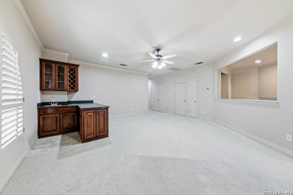 519 Blackjack Oak